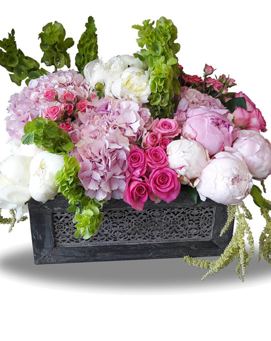 Bonsai flowers and plants Online flowers and plants shop Lebanon