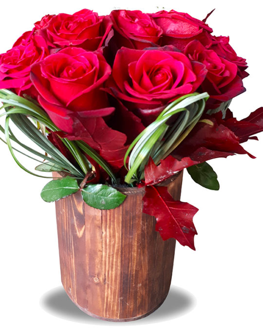Love-In-Red-Bonsai-Flowers-Plants