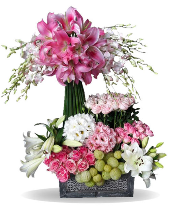 Luxurious-Basket-Bonsai-Flowers-Plants