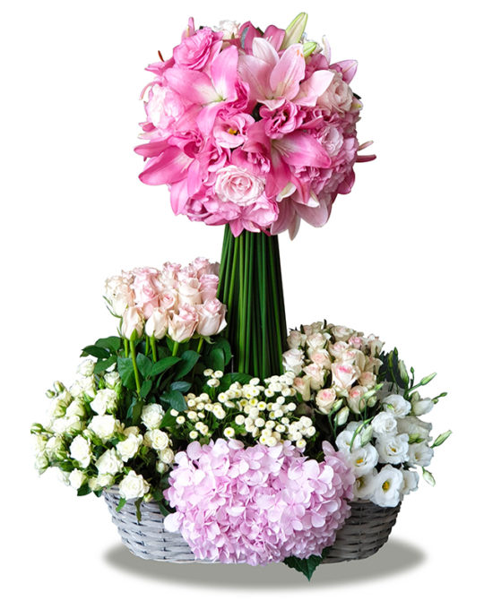 Pink-Contrast-Bonsai-Flowers-Plants