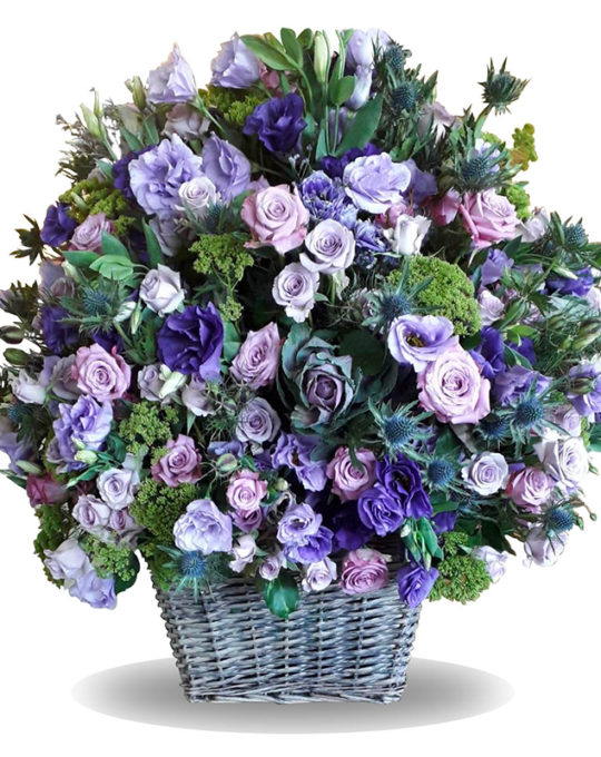 Purple-Steps-Bonsai-Flowers-Plants