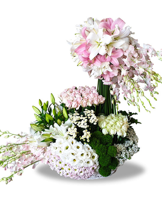 Spring-In-A-Basket-Bonsai-Flowers-Plants