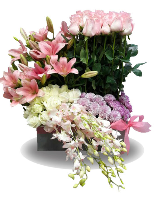 Sumptuous-Basket-Bonsai-Flowers-Plants