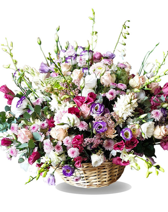 The-Fluffy-Basket-Bonsai-Flowers-Plants