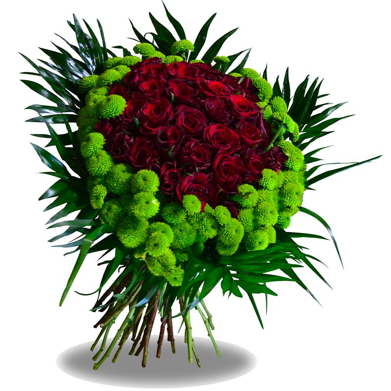 Bonsai flowers and plants Online flowers shop Lebanon