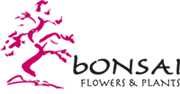 Bonsai flowers and plants