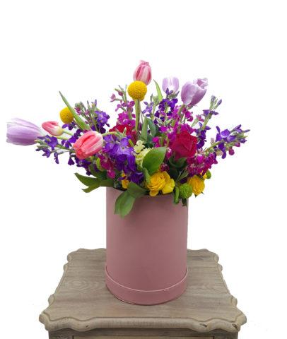 Spring Box