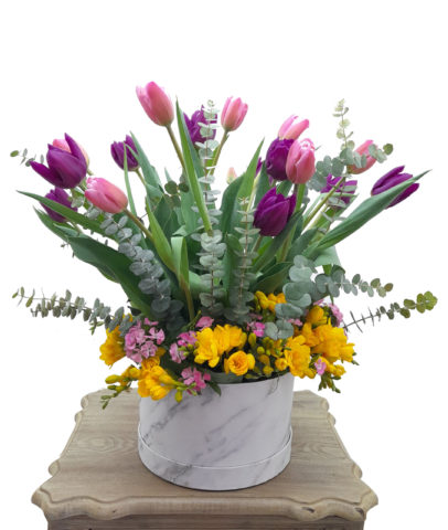 Tulips Lover