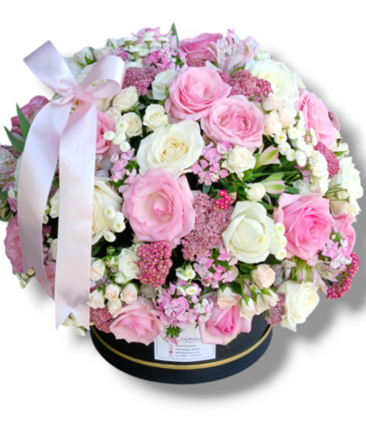 Photoroom-20240821_131454