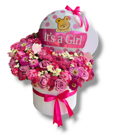 Photoroom-20240821_132620