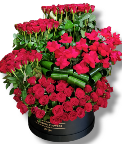 Photoroom-20240925_095632