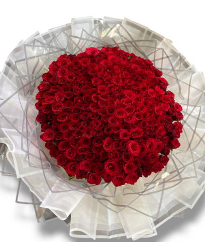 Photoroom-20240925_095806