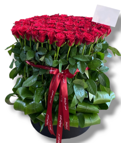 Photoroom-20240925_095951 (1)