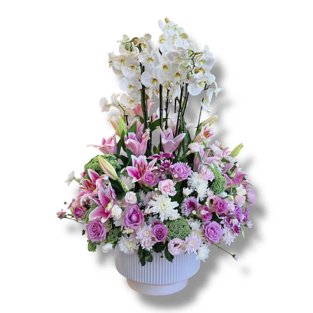 Orchid Blush