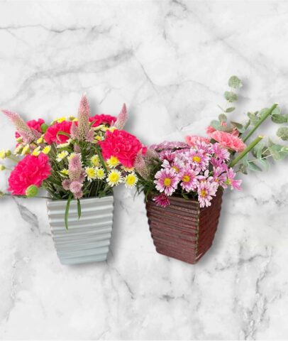 Photoroom_20251115_094723