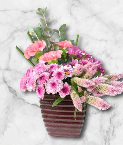 Photoroom_20251115_094832