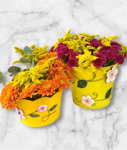 Photoroom_20251115_095231