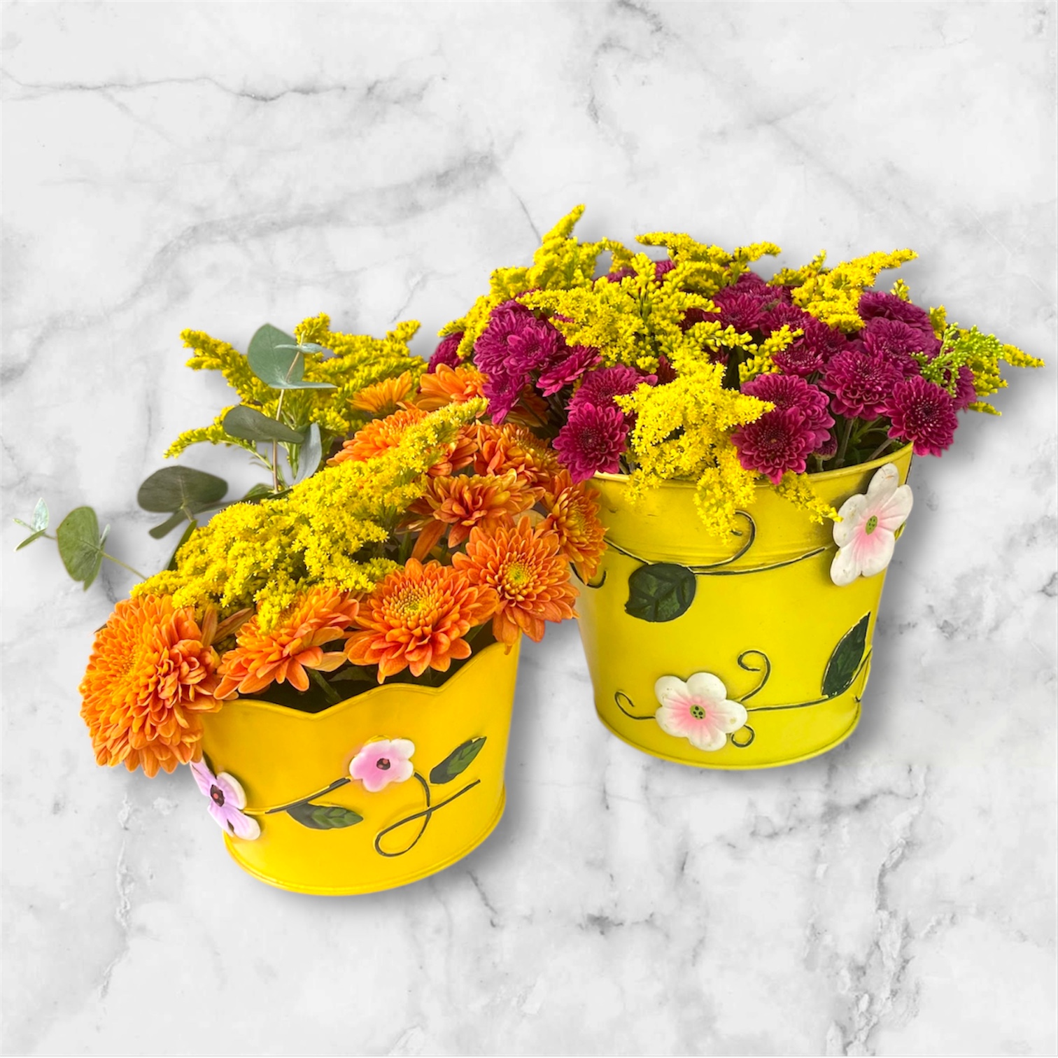 Photoroom_20251115_095231