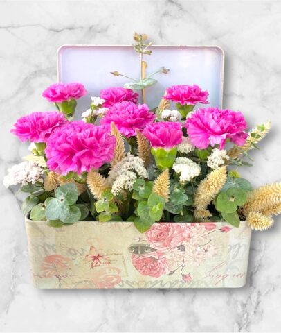 Photoroom_20251115_095420