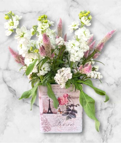 Photoroom_20251115_095541