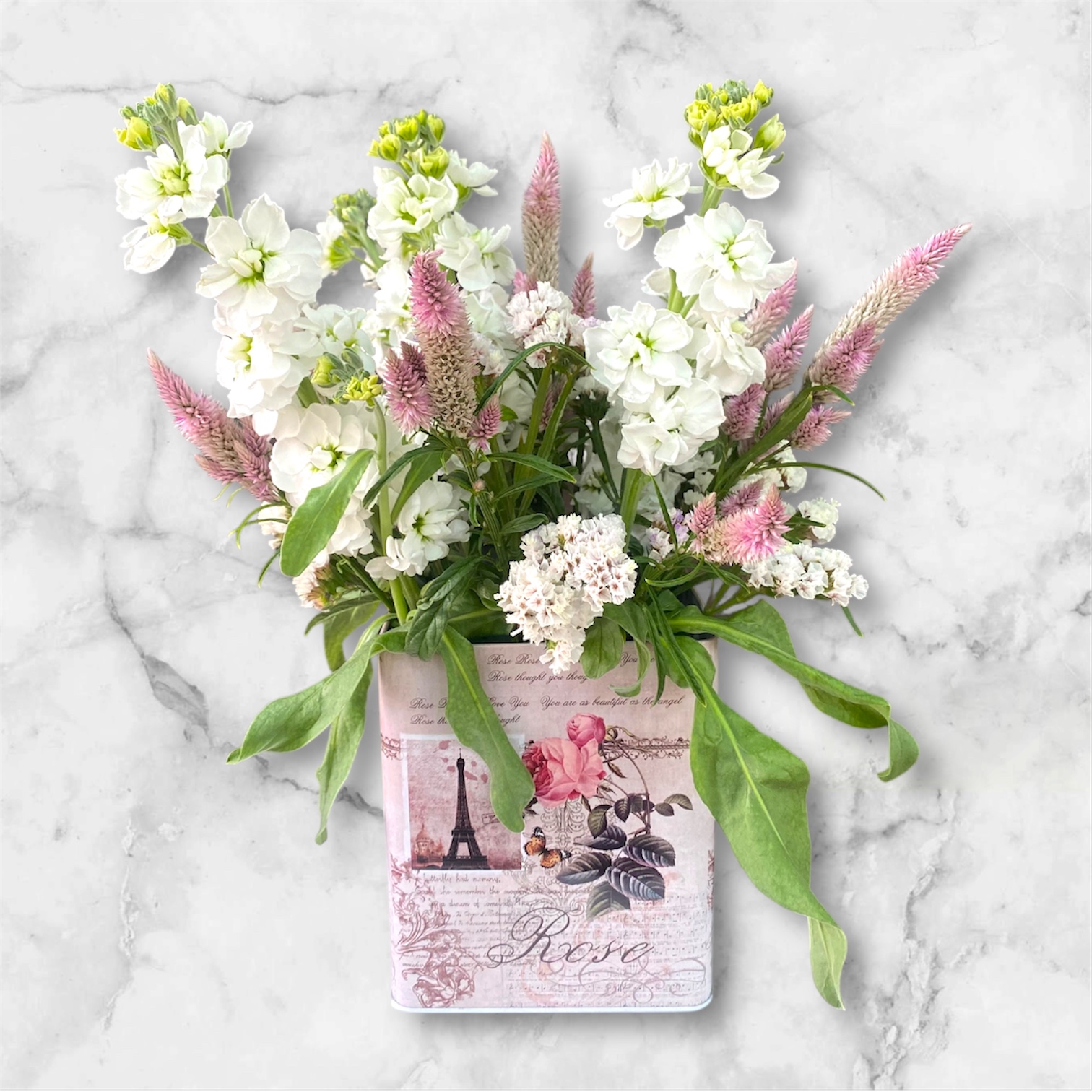 Photoroom_20251115_095541