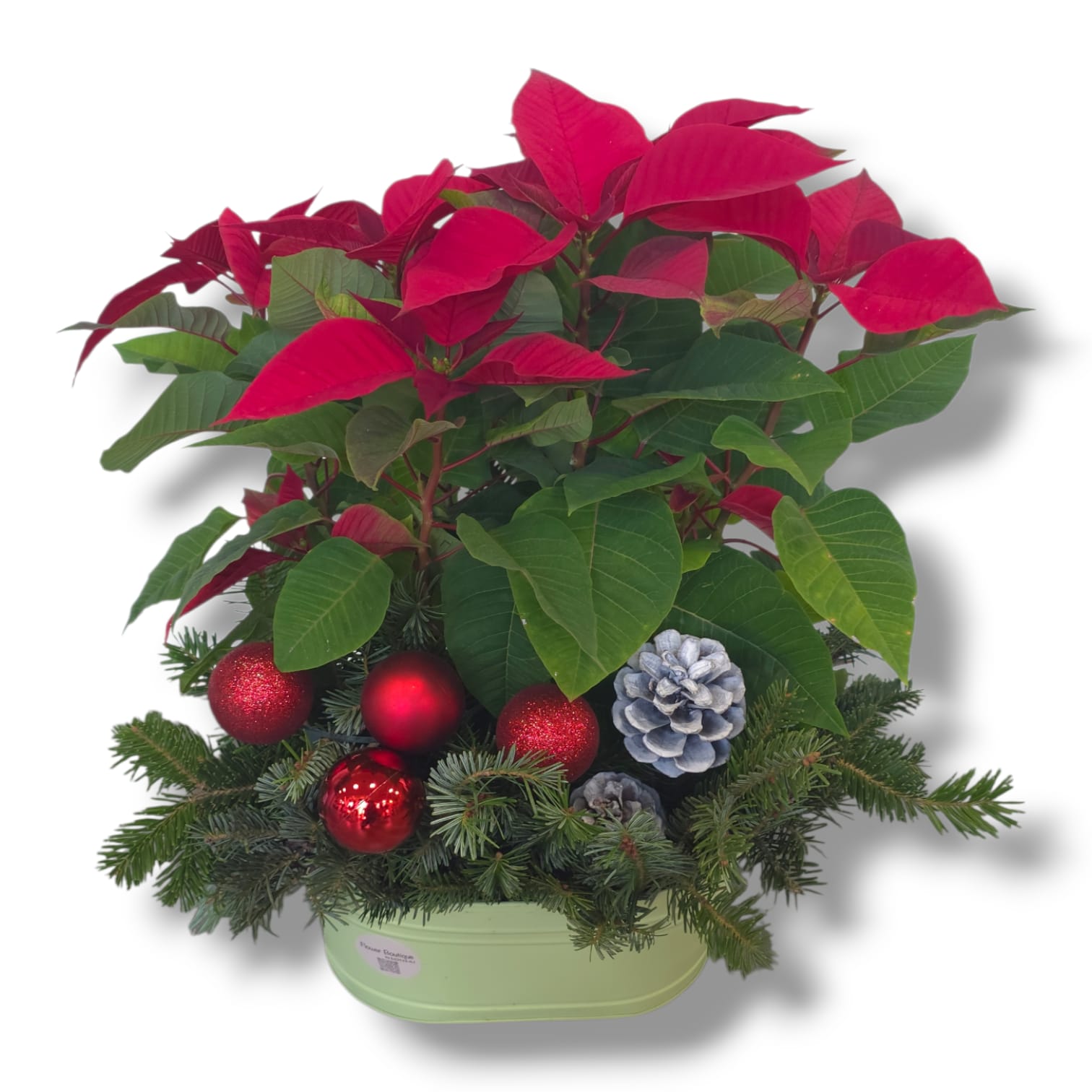 WhatsApp Image 2025-11-29 at 10.38.19_1fcdc007