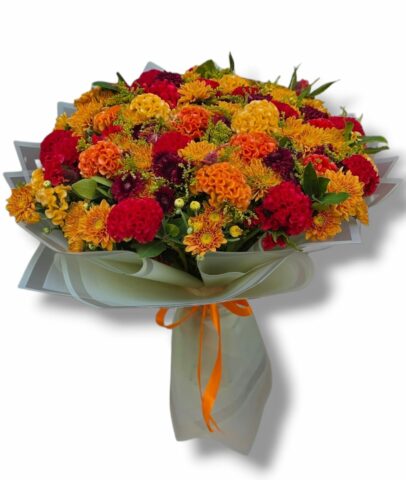 WhatsApp Image 2026-09-21 at 21.02.10 (2)