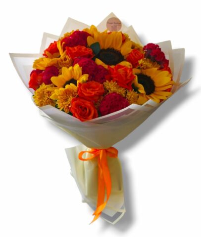 WhatsApp Image 2026-09-21 at 21.02.10