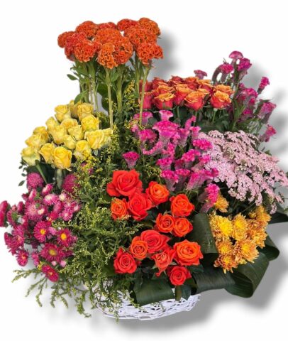 WhatsApp Image 2026-09-21 at 21.11.16 (2)